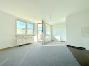 Kapitalanlage oder Selbstbezug:  1 Zimmer Apartment mit schönem Balkon in guter Sachsenhäuser Lage - Frankfurt