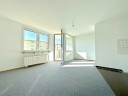 Kapitalanlage oder Selbstbezug:  1 Zimmer Apartment mit schnem Balkon in guter Sachsenhuser Lage - Frankfurt